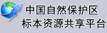 标本库